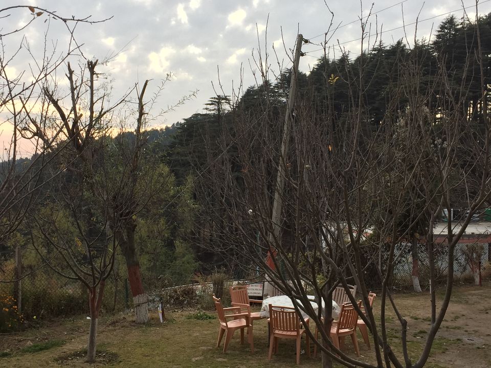 Photo of Felt Like Home To Me- Jammu & Patnitop 6/8 by Anshu
