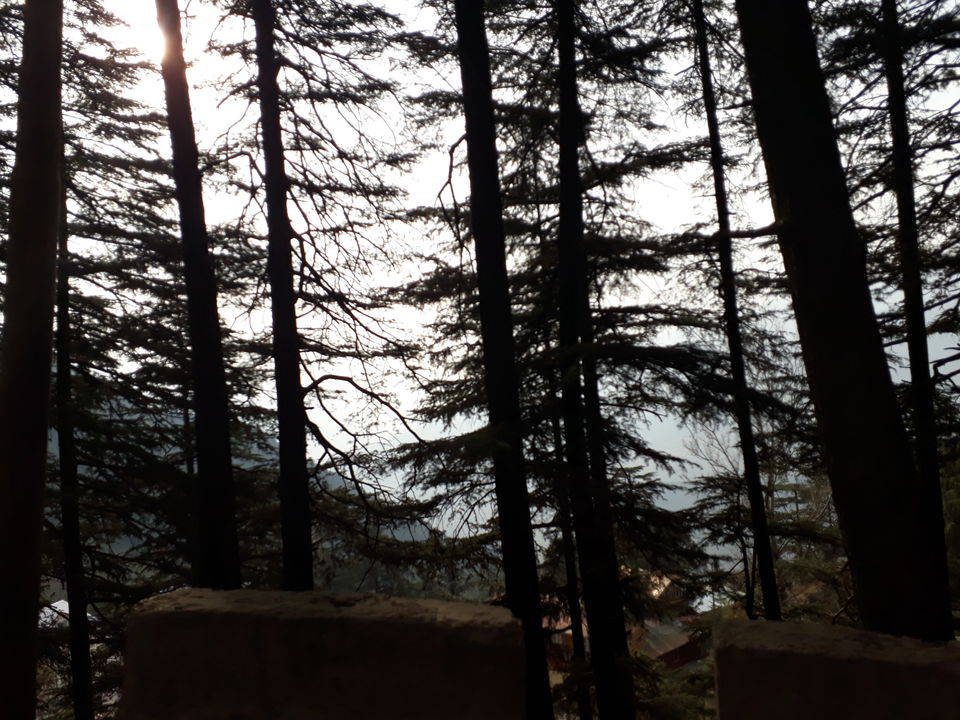 Photo of Felt Like Home To Me- Jammu & Patnitop 4/8 by Anshu