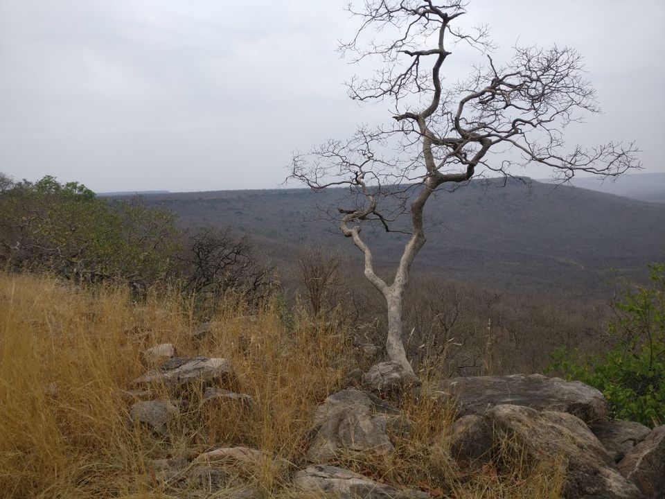 Photo of Panna, Madhya Pradesh, India by Anshu