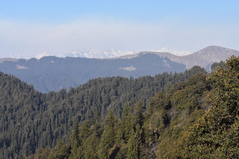 Photo of Jalori Pass, Jalori, Sajwar, Himachal Pradesh by Anshu