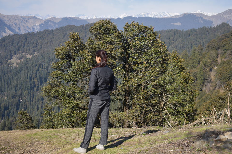 Photo of Jalori Pass, Jalori, Sajwar, Himachal Pradesh by Anshu