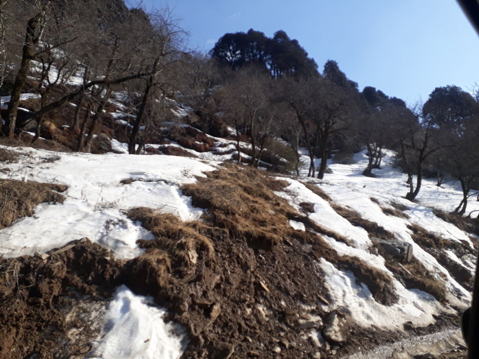 Photo of Jalori Pass, Jalori, Sajwar, Himachal Pradesh by Anshu