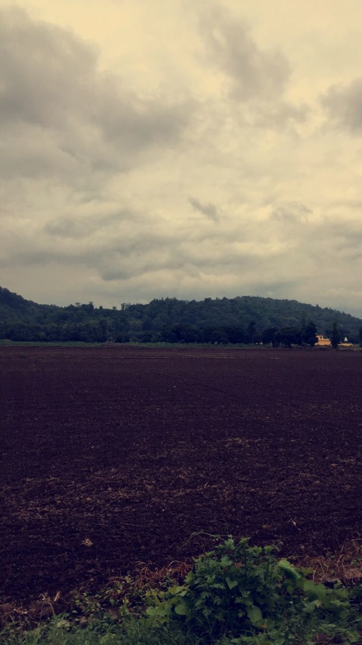 Photo of If not safari,head for River view Resort - Jim Corbett 5/9 by Anshu