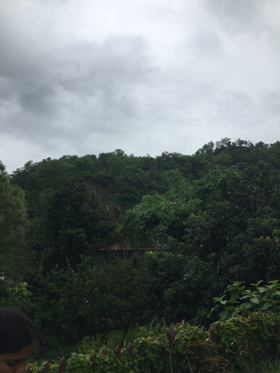 Photo of If not safari,head for River view Resort - Jim Corbett 8/9 by Anshu