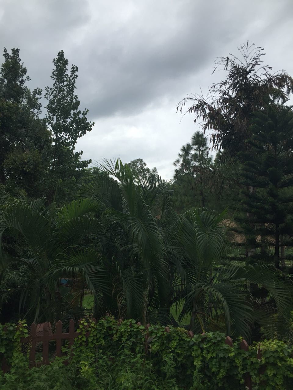 Photo of If not safari,head for River view Resort - Jim Corbett 9/9 by Anshu