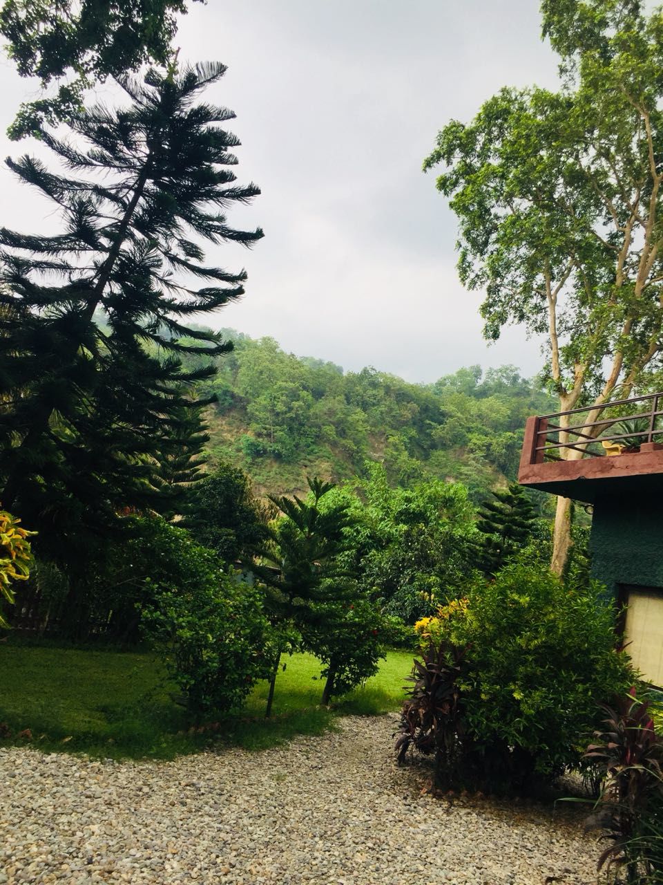 Photo of If not safari,head for River view Resort - Jim Corbett 3/9 by Anshu