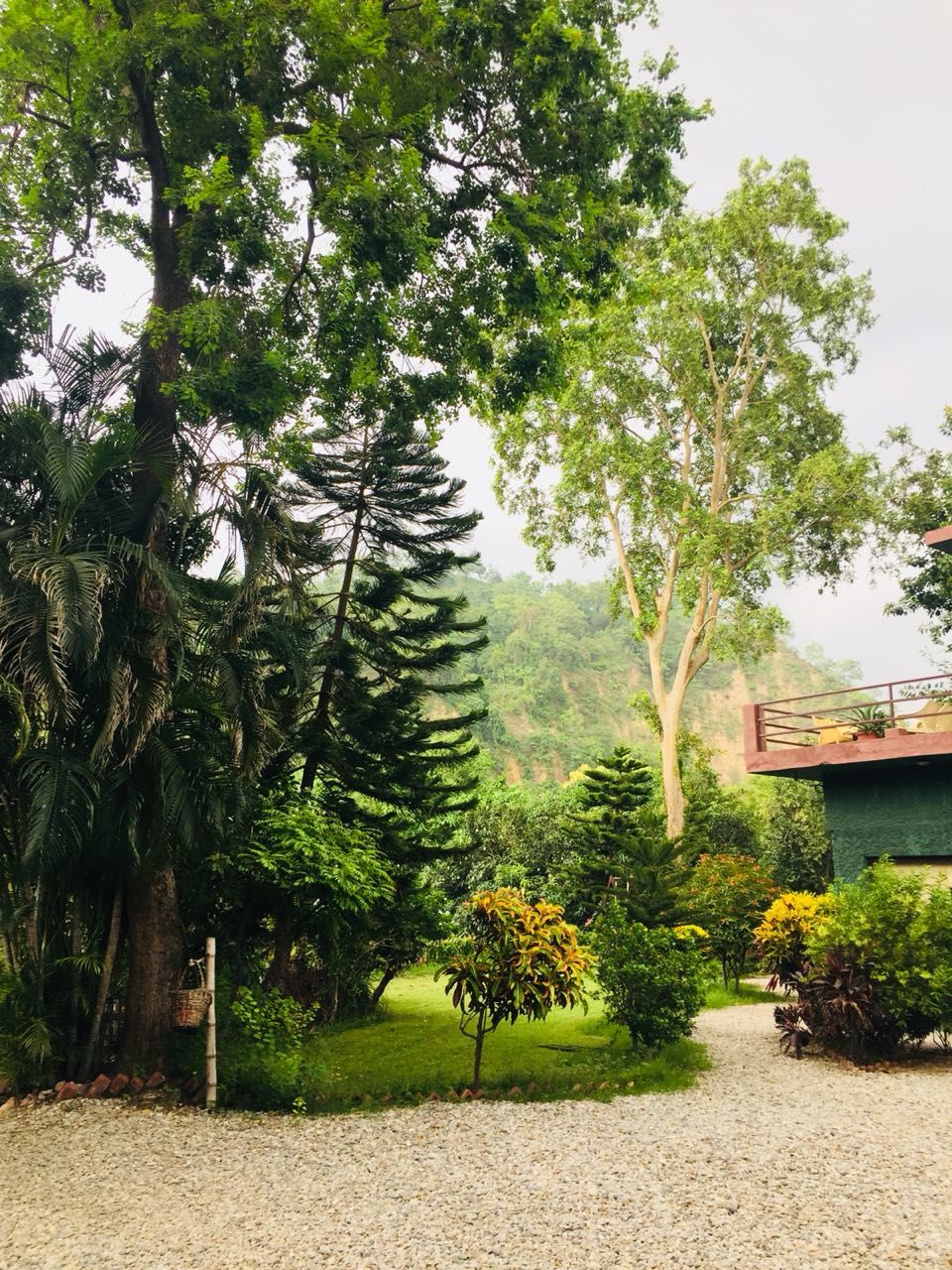 Photo of If not safari,head for River view Resort - Jim Corbett 2/9 by Anshu