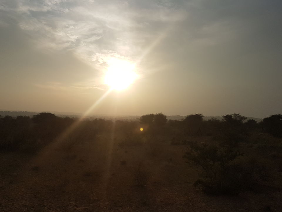 Photo of 2019 Ended with Blue City- Jodhpur ! 5/23 by Anshu