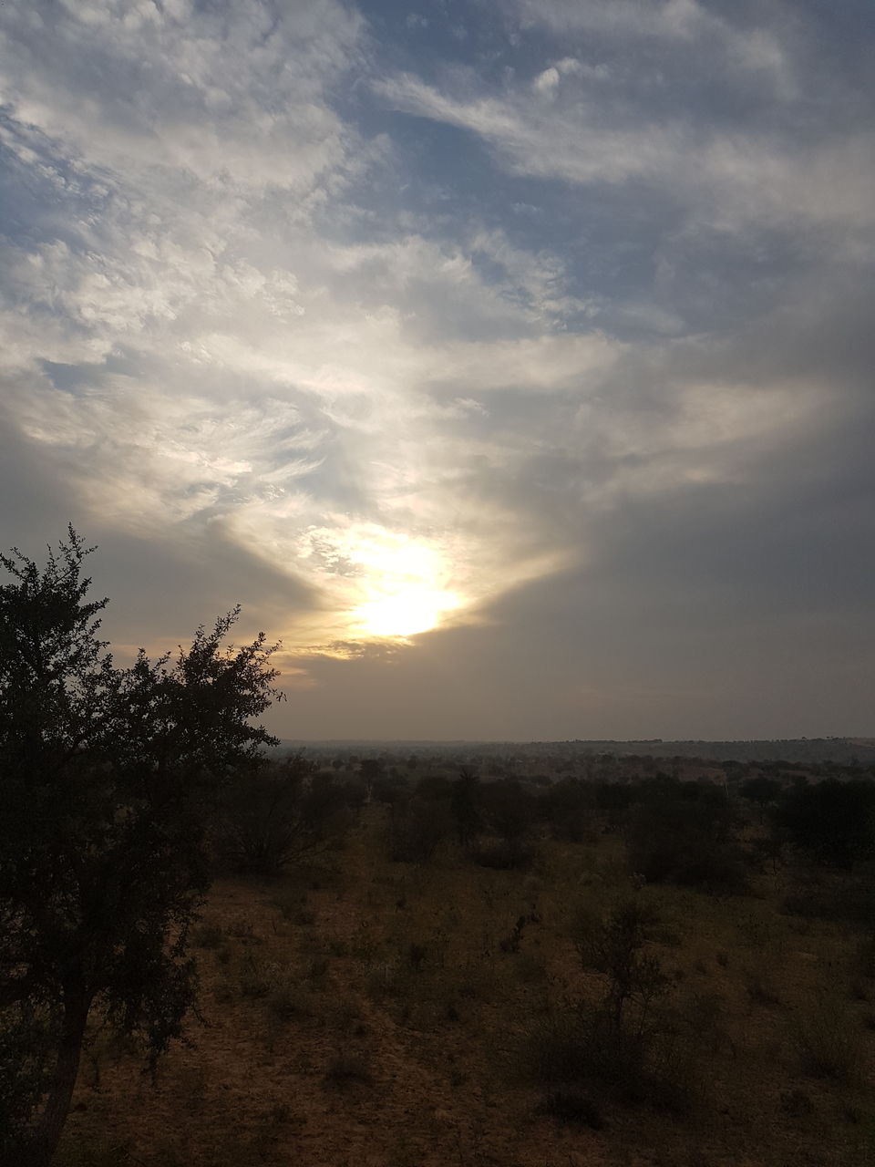 Photo of 2019 Ended with Blue City- Jodhpur ! 7/23 by Anshu