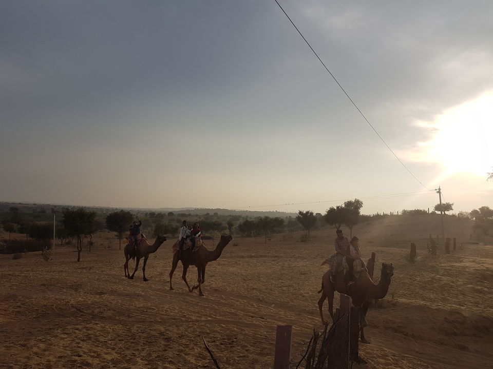 Photo of 2019 Ended with Blue City- Jodhpur ! 4/23 by Anshu