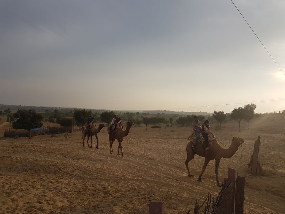 Photo of 2019 Ended with Blue City- Jodhpur ! 3/23 by Anshu