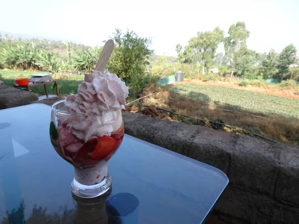 Photo of Mapro Garden, Gureghar, Maharashtra, India by Abdul Rahman 
