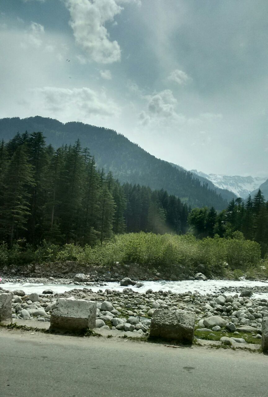 Photo of This Side of Paradise..Manali!! by Niyomi