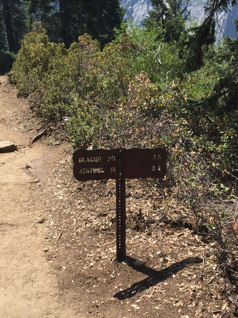 Photo of Hiking in Yosemite National Park by Praveen