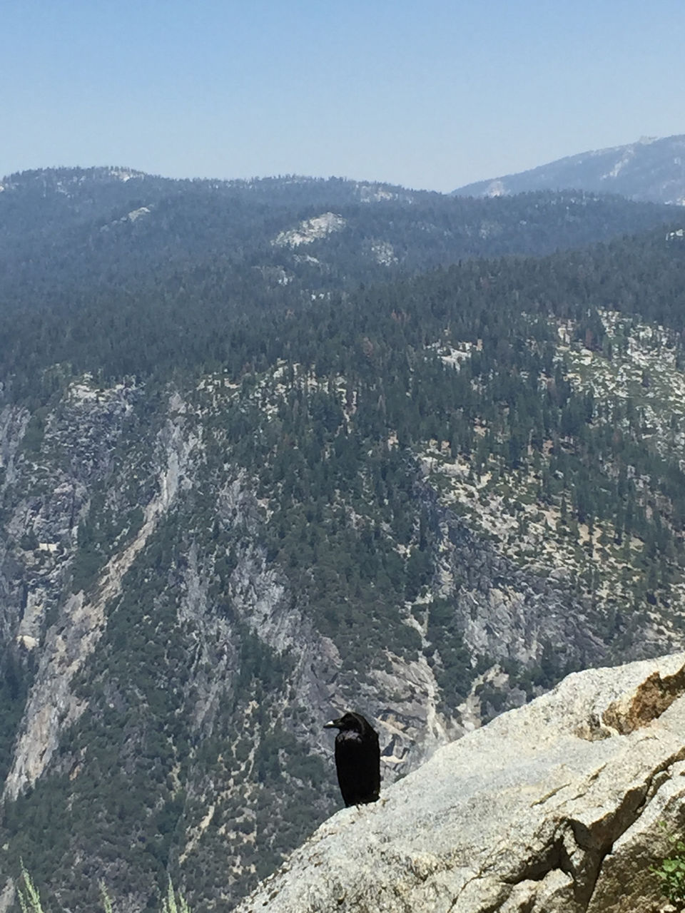 Photo of Hiking in Yosemite National Park by Praveen