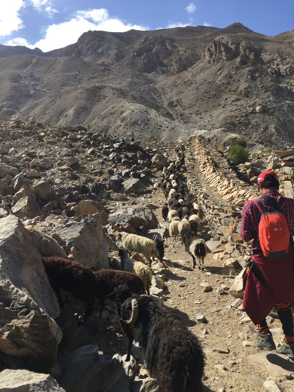 Photo of Tashigong, Himachal Pradesh, India by Praveen