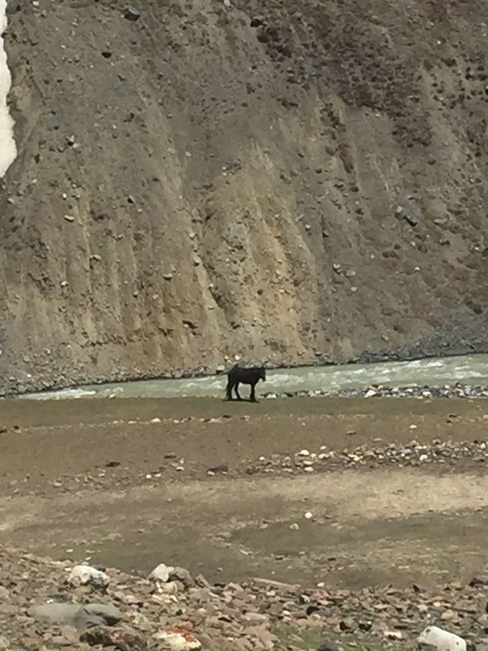 Photo of Pin Valley National Park, Kaza Khas, Himachal Pradesh, India by Praveen