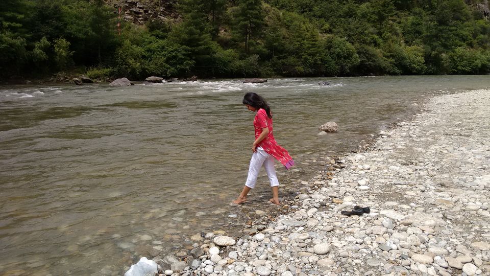 Photo of The Road to Bhutan 4/5 by Rashi Gupta