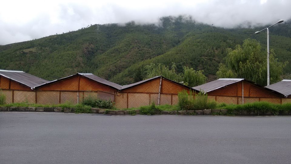 Photo of The Road to Bhutan 1/5 by Rashi Gupta