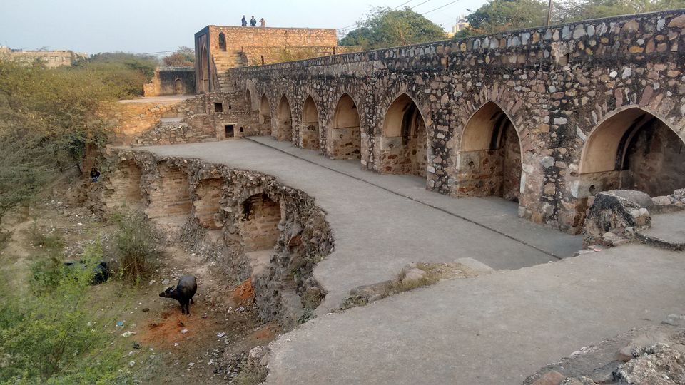 Photo of A Glimpse of the Tuglaqi History by Rashi Gupta