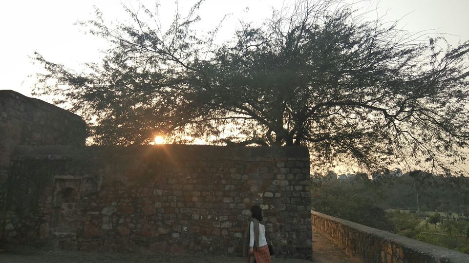 Photo of A Glimpse of the Tuglaqi History by Rashi Gupta
