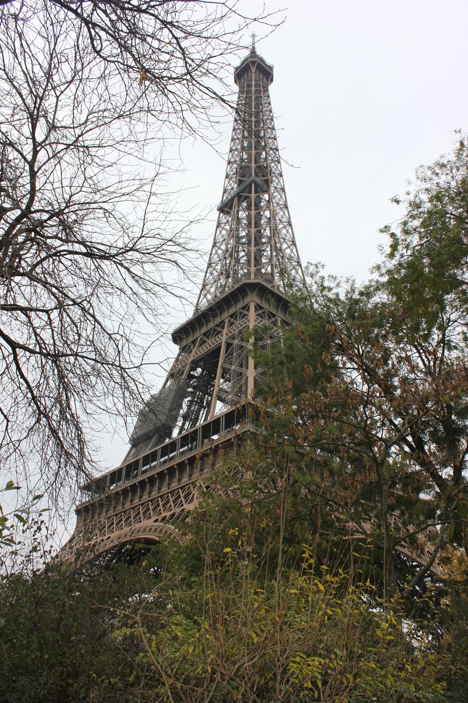 Photo of Eiffel Tower, Avenue Anatole France, Paris, France by Rashi Gupta