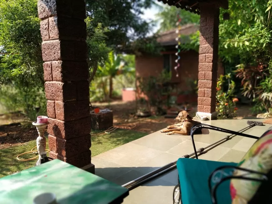 Photo of Simply Homestay, Cana Benaulim, Goa, India by Rashi Gupta
