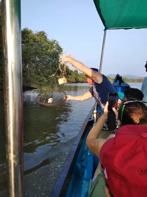 Photo of Sal River, Navelim Village, Goa by Rashi Gupta