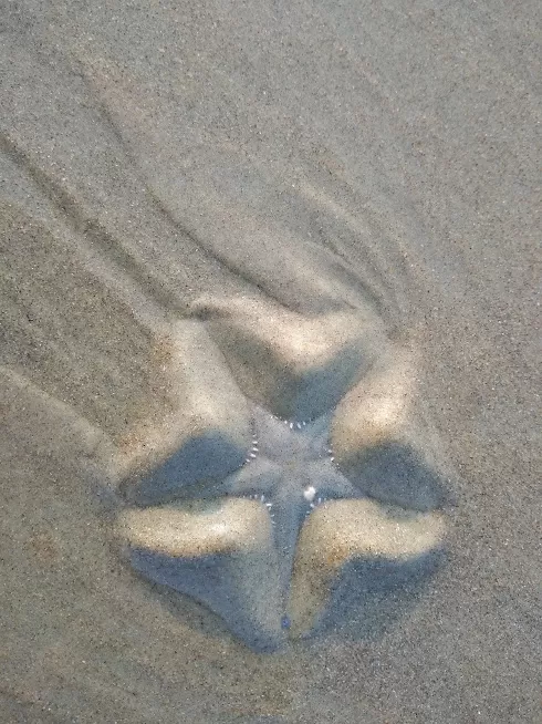 Photo of Benaulim Beach, Benaulim, Goa by Rashi Gupta