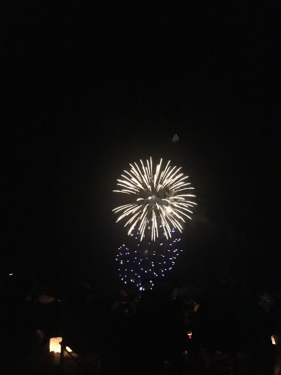 Photo of New Year Fireworks in Naples 1/1 by Mounika Myla