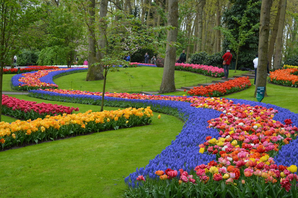 Photo of Netherlands- A country of Tulips, Canals, Cheese, Wooden Clogs, Windmills and Marijuana. 2/7 by Sapna Venugopal