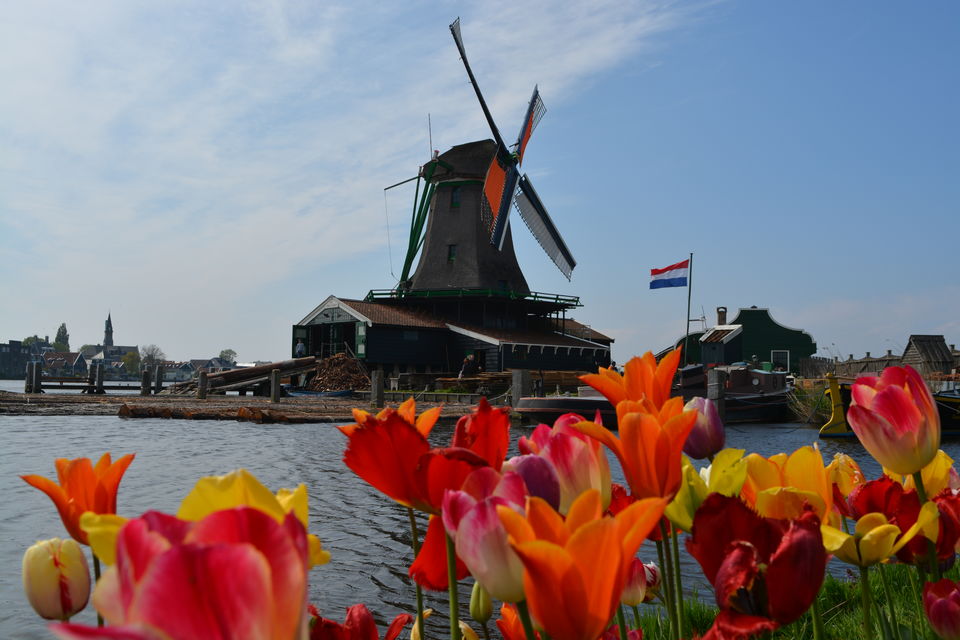 Photo of Netherlands- A country of Tulips, Canals, Cheese, Wooden Clogs, Windmills and Marijuana. 3/7 by Sapna Venugopal