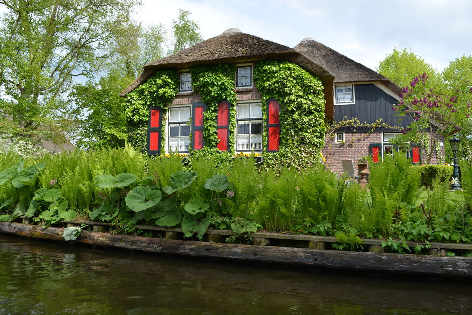 Photo of Netherlands- A country of Tulips, Canals, Cheese, Wooden Clogs, Windmills and Marijuana. 6/7 by Sapna Venugopal
