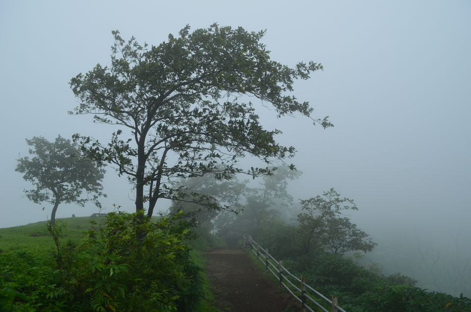 Photo of A Must visit Monsoon Trek to Raigad Fort-The capital of Shivaji's Maharaj's kingdom, Mahad. 8/43 by suraj j