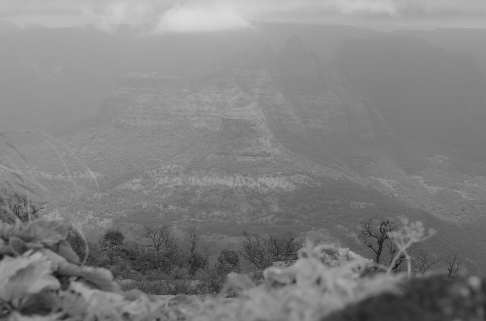 Photo of A Must visit Monsoon Trek to Raigad Fort-The capital of Shivaji's Maharaj's kingdom, Mahad. 31/43 by suraj j