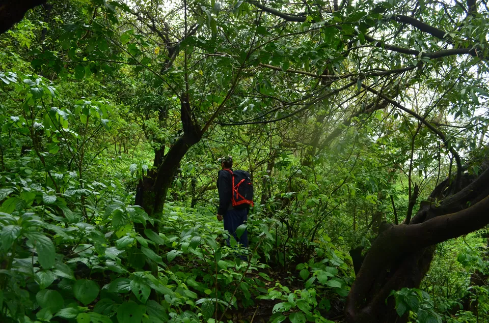 Photo of Jagadishwar Temple, Gherakilla Raigad, Maharashtra, India by suraj j