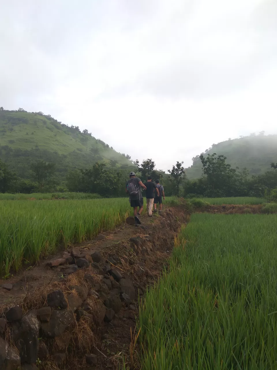Photo of Komal Wadi, Raigad, Maharashtra, India by suraj j