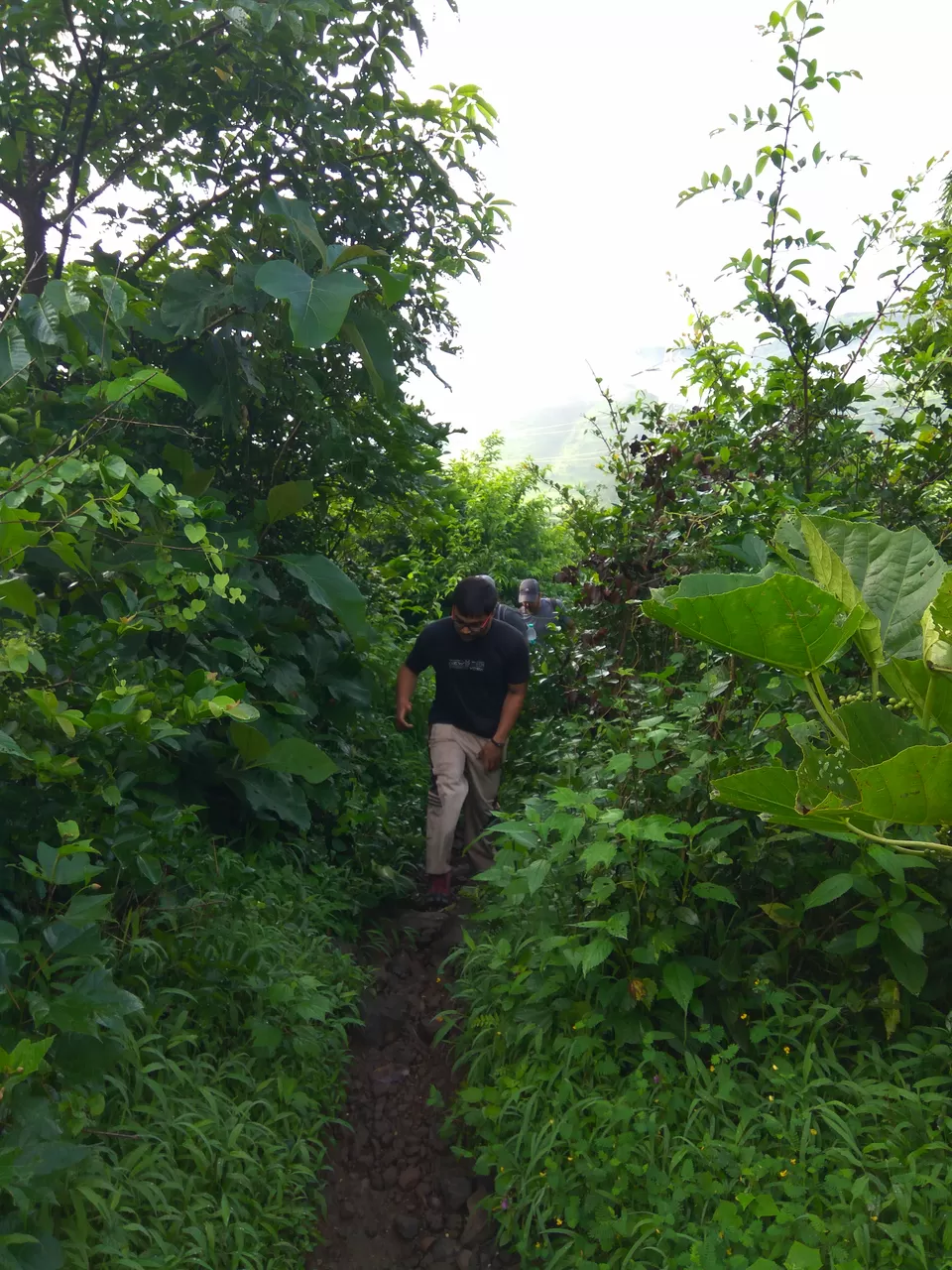 Photo of Komal Wadi, Raigad, Maharashtra, India by suraj j
