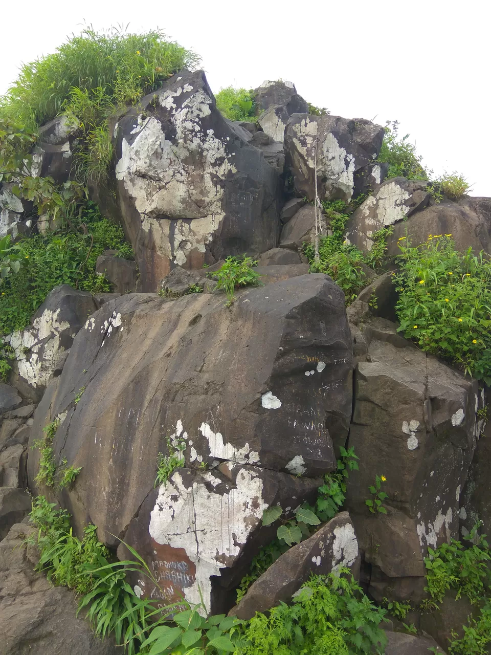Photo of Komal Wadi, Raigad, Maharashtra, India by suraj j