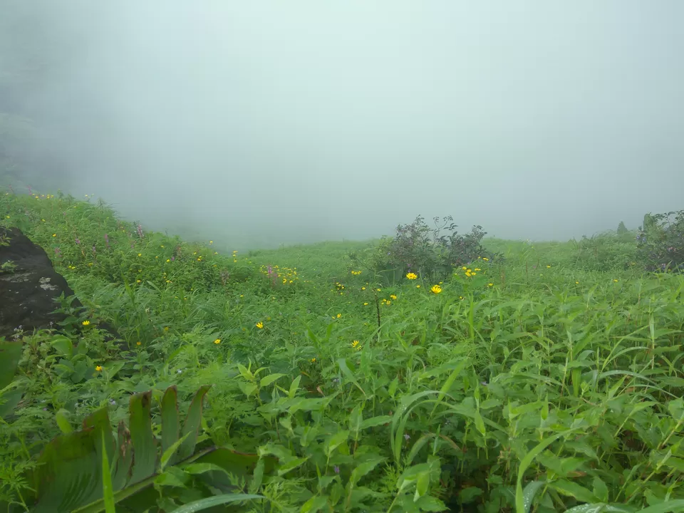 Photo of Komal Wadi, Raigad, Maharashtra, India by suraj j