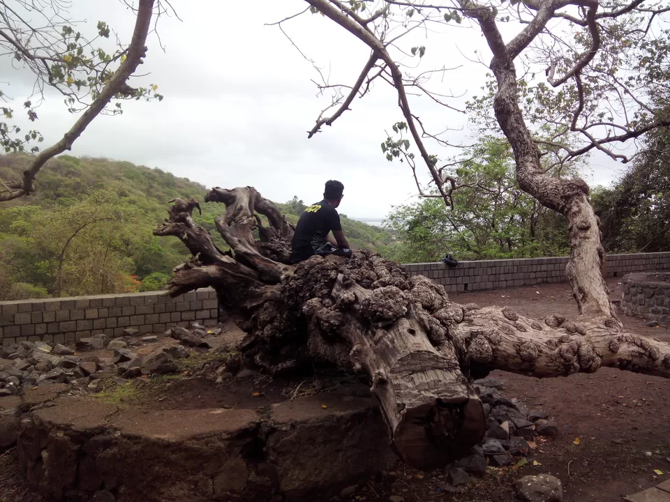 Photo of Cannon Trek, Gharapuri, Maharashtra, India by suraj j