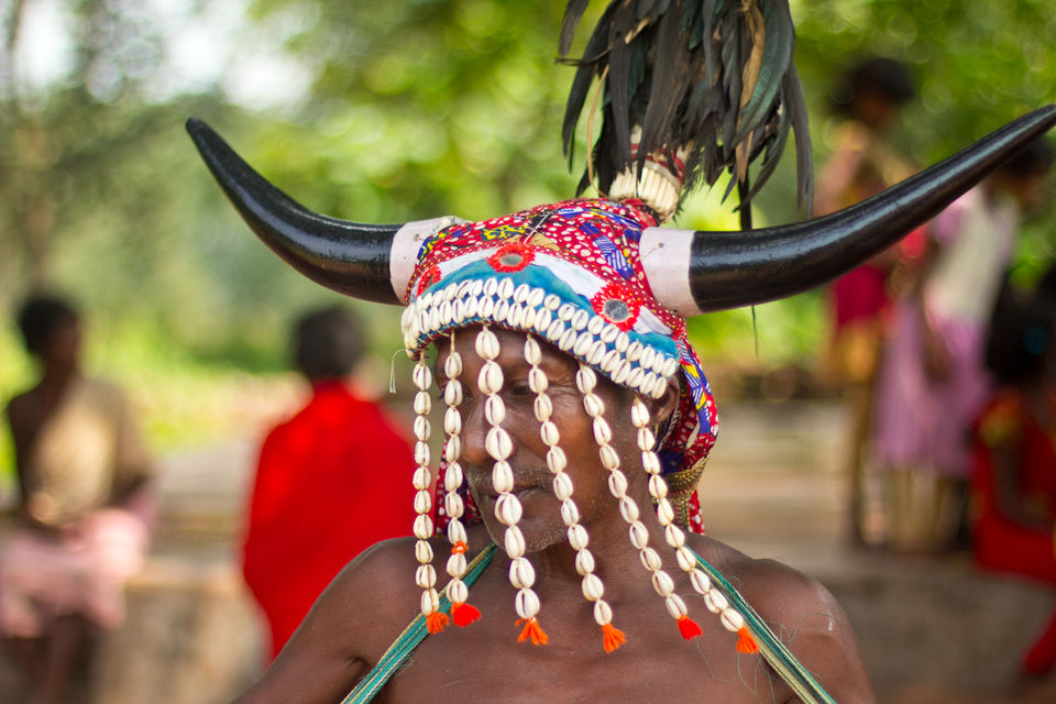 Photo of Get addicted to the offbeat with a lunch at a Bison Horn Maria village by Supriya Sehgal