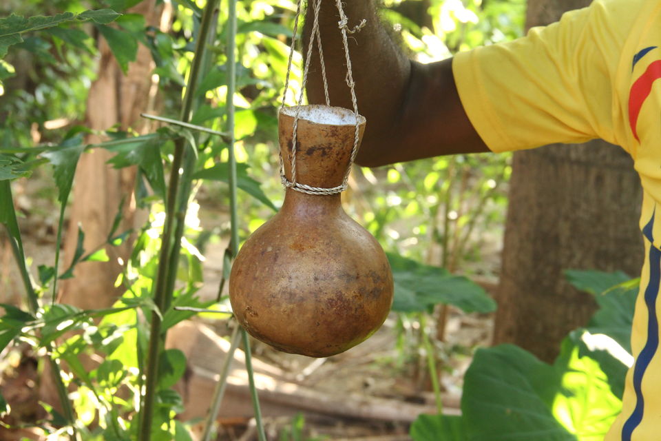 Photo of Get addicted to the offbeat with a lunch at a Bison Horn Maria village 1/5 by Supriya Sehgal