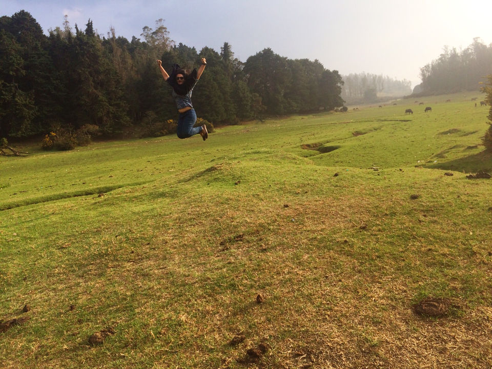 Photo of Ooty, Tamil Nadu, India by Gowthami_Selvan