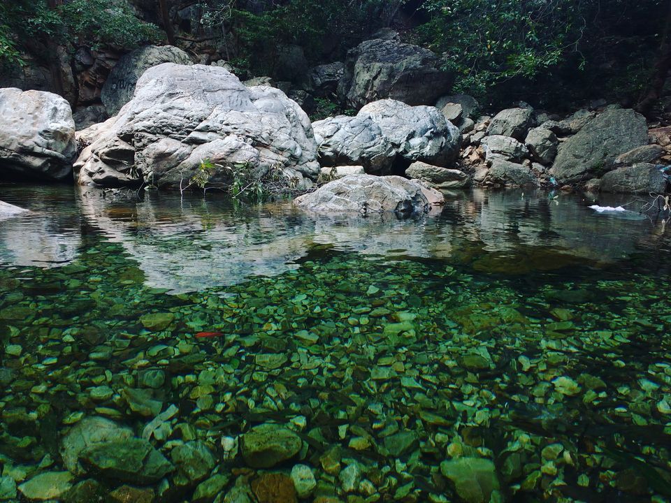 Photo of #CoffeeWithTripoto: A Trek to Tada falls by Vaibhav Kashyap