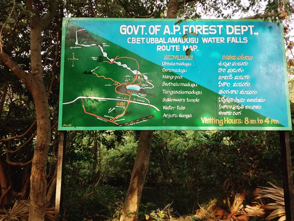 Photo of #CoffeeWithTripoto: A Trek to Tada falls by Vaibhav Kashyap