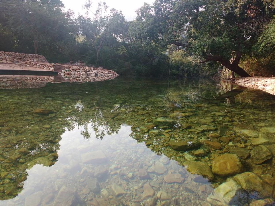 Photo of #CoffeeWithTripoto: A Trek to Tada falls by Vaibhav Kashyap