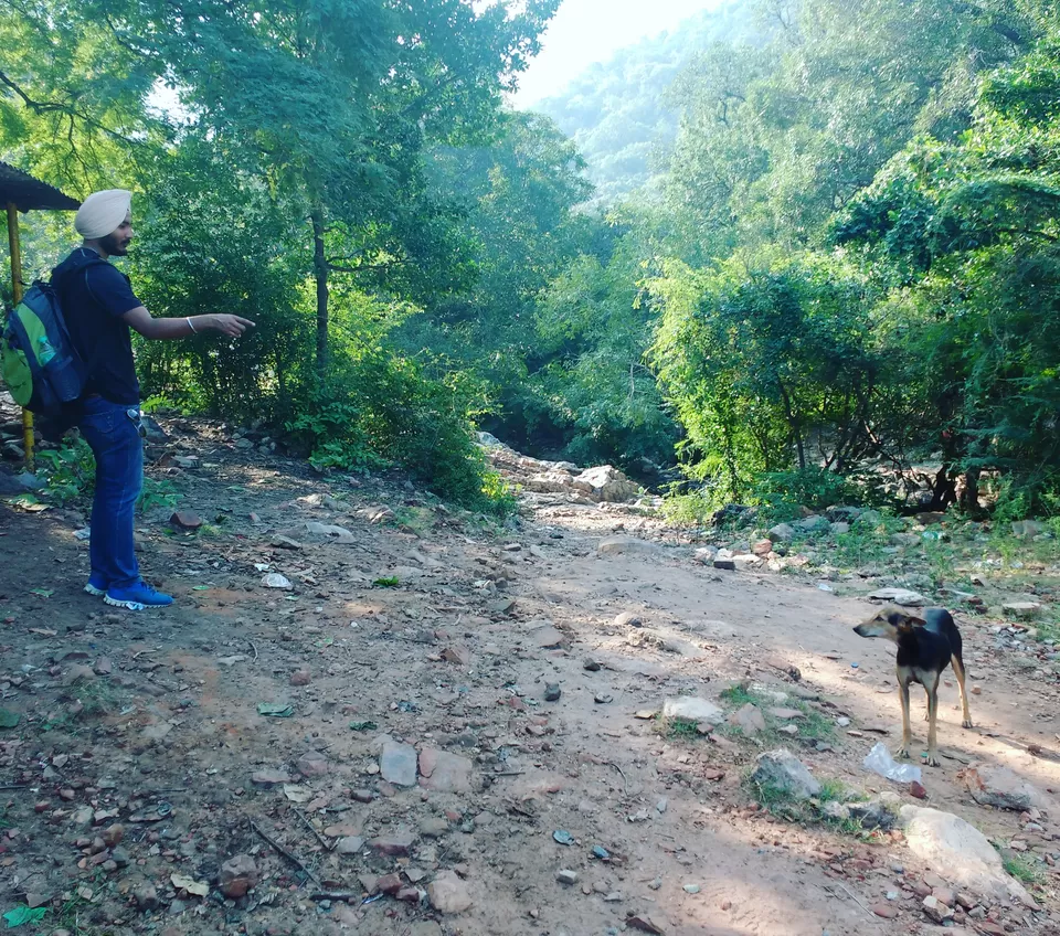 Photo of #CoffeeWithTripoto: A Trek to Tada falls by Vaibhav Kashyap