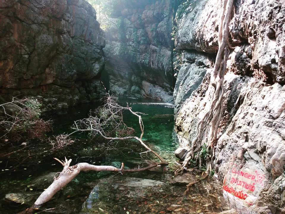 Photo of #CoffeeWithTripoto: A Trek to Tada falls by Vaibhav Kashyap