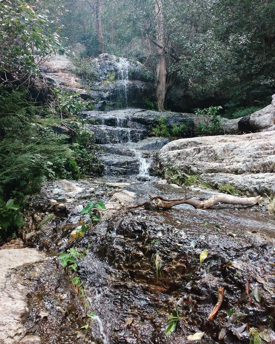 Photo of #CoffeeWithTripoto: A Trek to Tada falls by Vaibhav Kashyap
